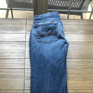 7 for all mankind